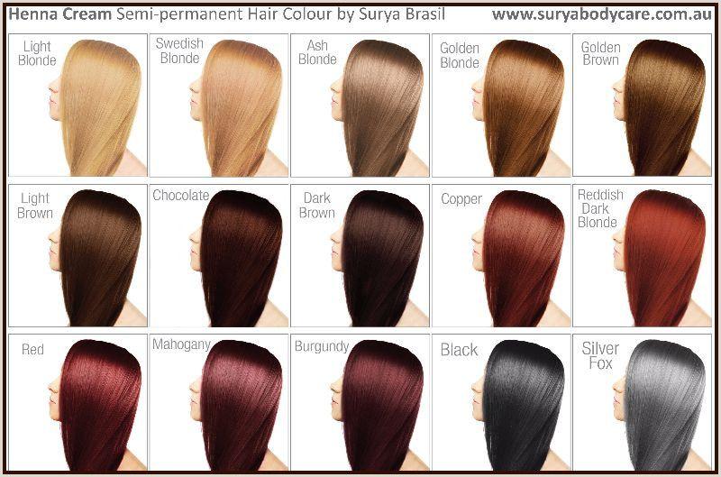 The Ion Demi Permanent Hair Color Chart