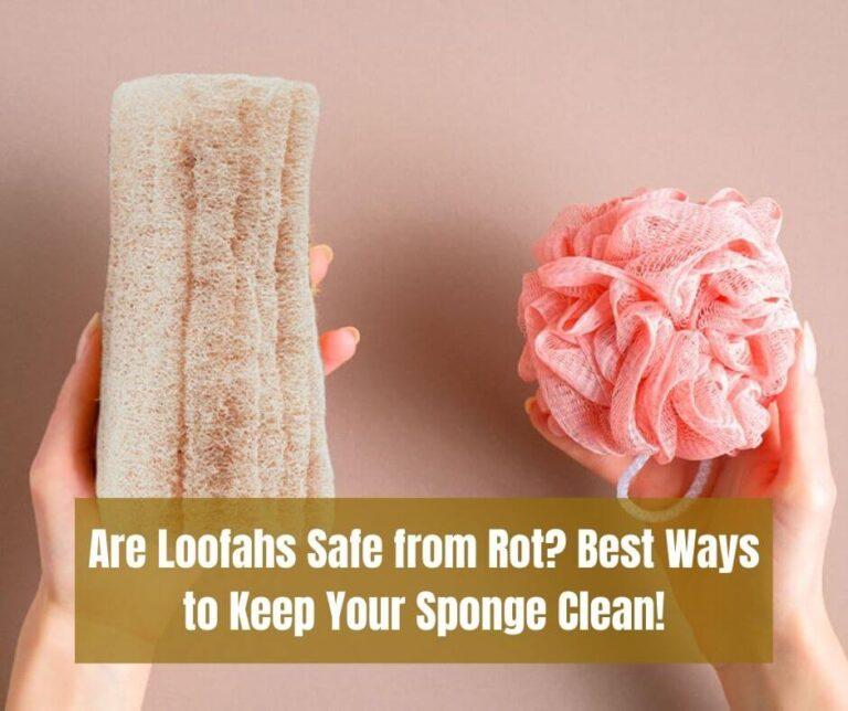 Are Loofahs Safe from Rot? Best Ways to Keep Your Sponge Clean!