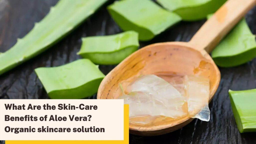What Are the Skincare Benefits of Aloe Vera? Organic skincare solution