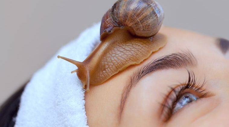 Pros And Cons of Using Snail Mucin on the Skin 1 fda57b691d7a4b6f9df93ba656d5a4ae fda57b691d7a4b6f9df93ba656d5a4ae