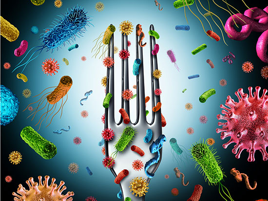 Foodborne Illness Causing Bacteria Can 9 0c0407f3c82146c1af650659c1df9696 0c0407f3c82146c1af650659c1df9696