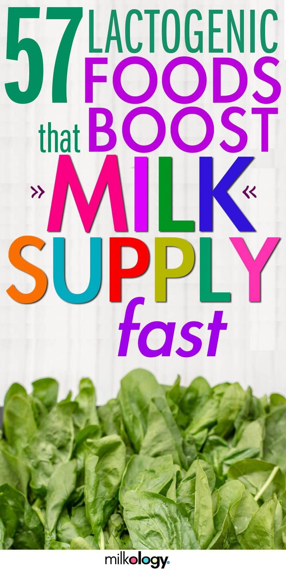 Foods to Increase Milk Supply 1 4af7fa59b90c4060bddb627f241946c2 4af7fa59b90c4060bddb627f241946c2