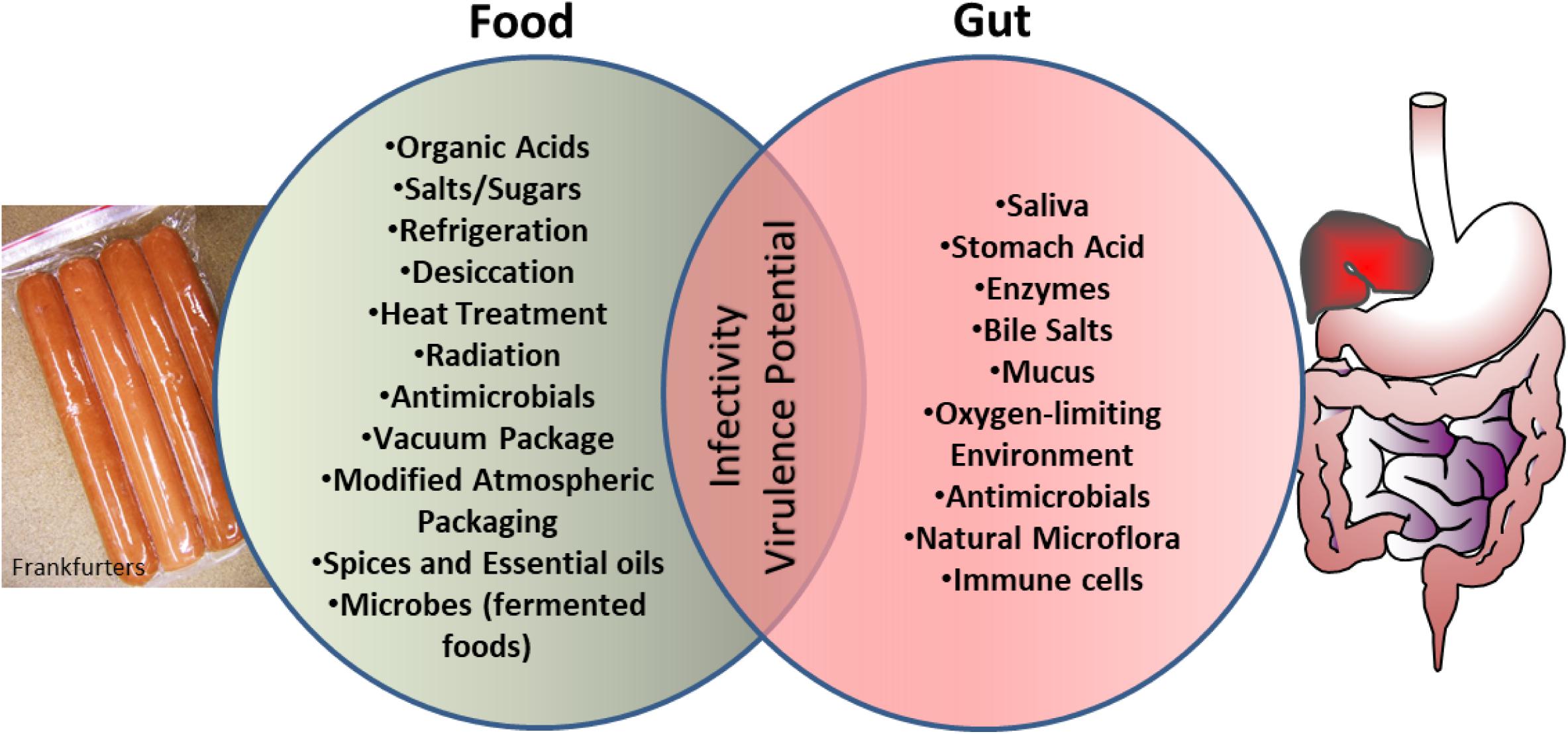 Food Borne Pathogens And Diseases