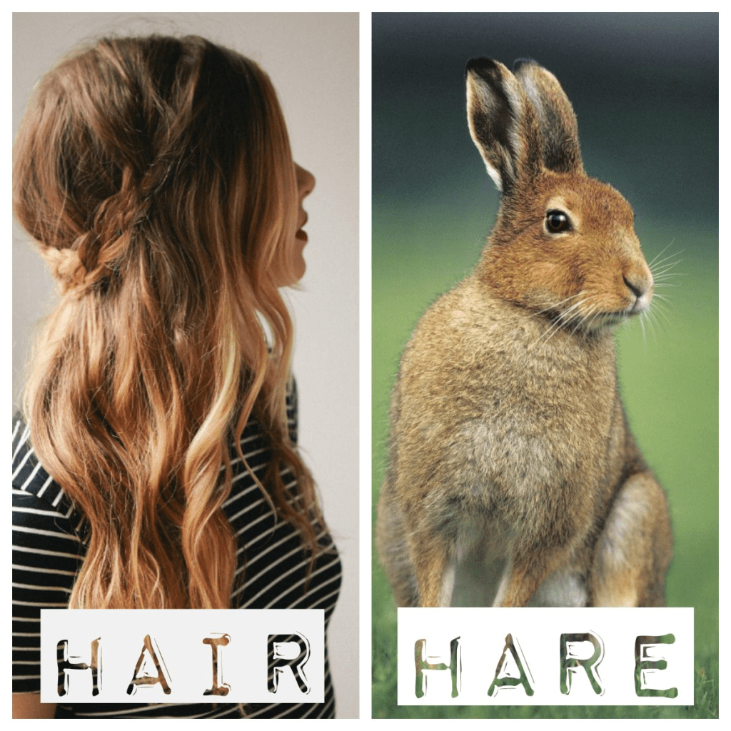 What Is the Meaning of Hair vs. Hare? Exploring Definitions 23 image 12 image 12